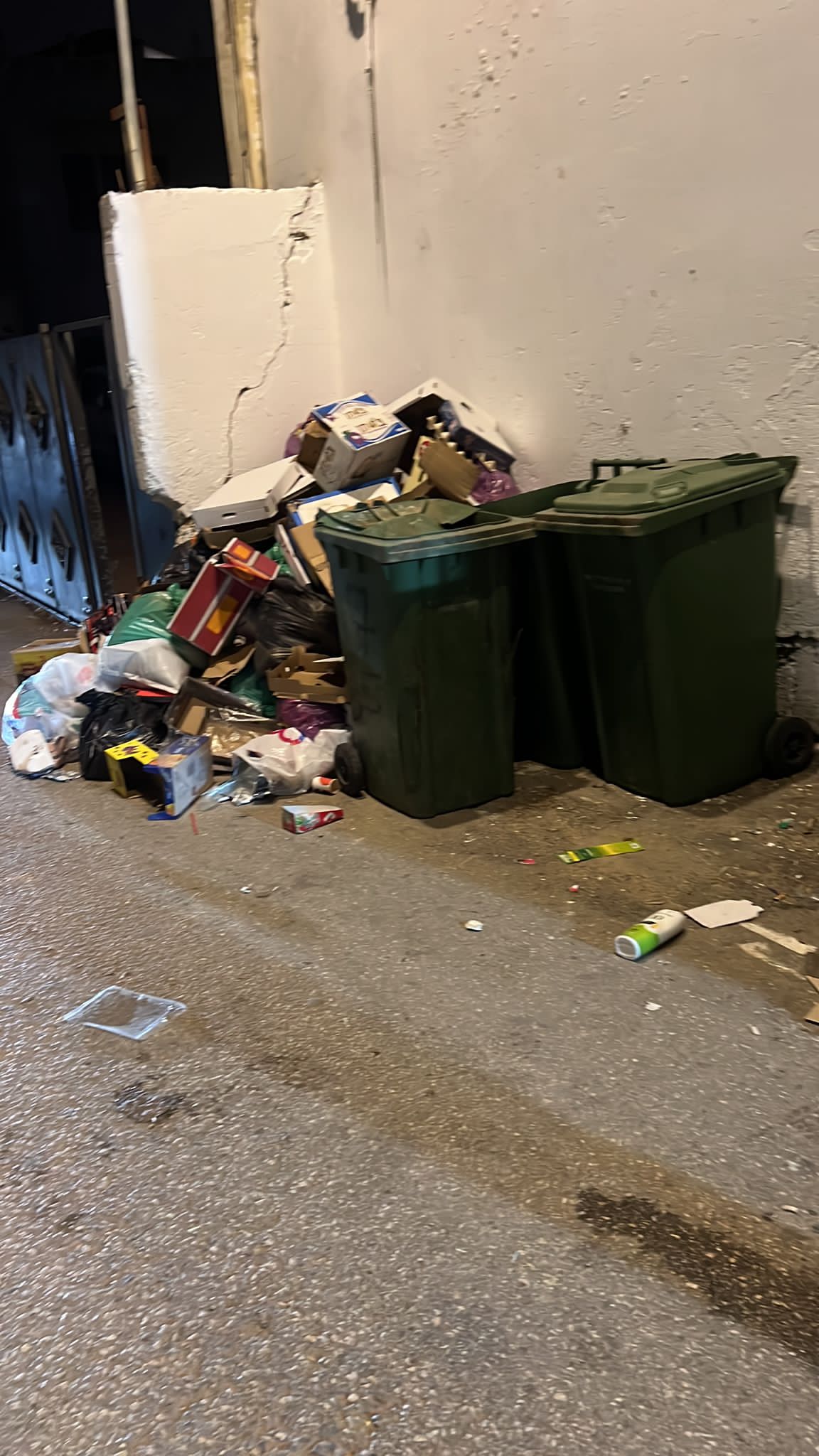 WhatsApp Image 2023-11-27 at 15.49.08.jpeg